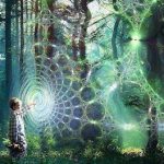 La Naturaleza de la Realidad