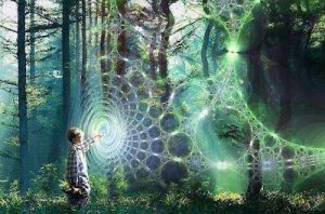 Lee más sobre el artículo La Naturaleza de la Realidad