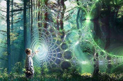 La Naturaleza de la Realidad