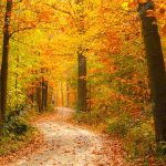 Cómo Recuperar Tu Dirección y Confianza para Transformar tu Vida