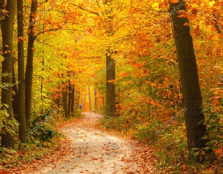 Cómo Recuperar Tu Dirección y Confianza para Transformar tu Vida