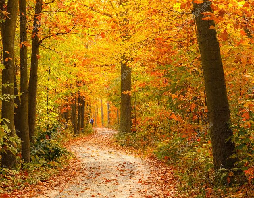 En este momento estás viendo Cómo Recuperar Tu Dirección y Confianza para Transformar tu Vida